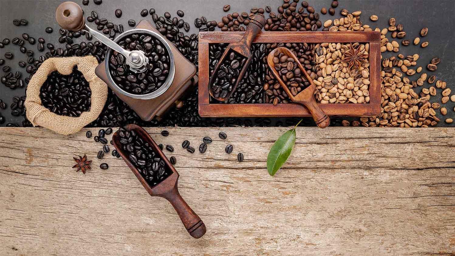 Indonesian coffee beans and export product sample