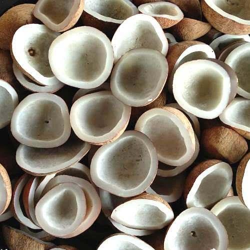 Indonesian coconut shells for natural product supply